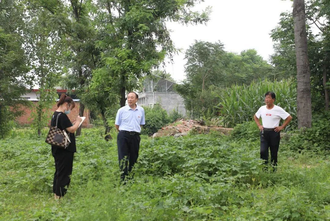 凯发到结对帮扶村实地调研帮建项目